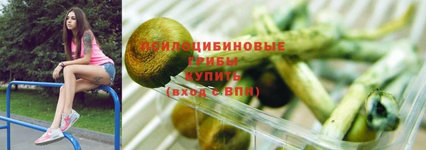 ПСИЛОЦИБИНОВЫЕ ГРИБЫ Карталы