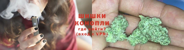прущие грибы Карпинск