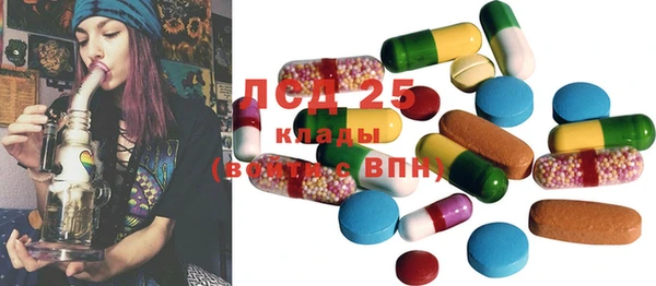 прущие грибы Карпинск