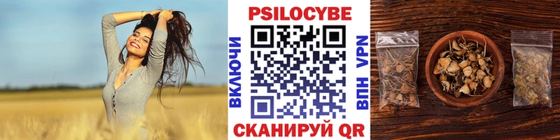 блэк спрут ссылка  купить наркотик  Кизляр  Галлюциногенные грибы прущие грибы 