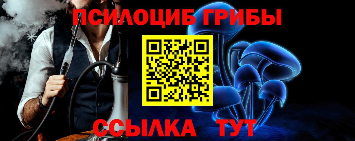 Галлюциногенные грибы прущие грибы Кизляр